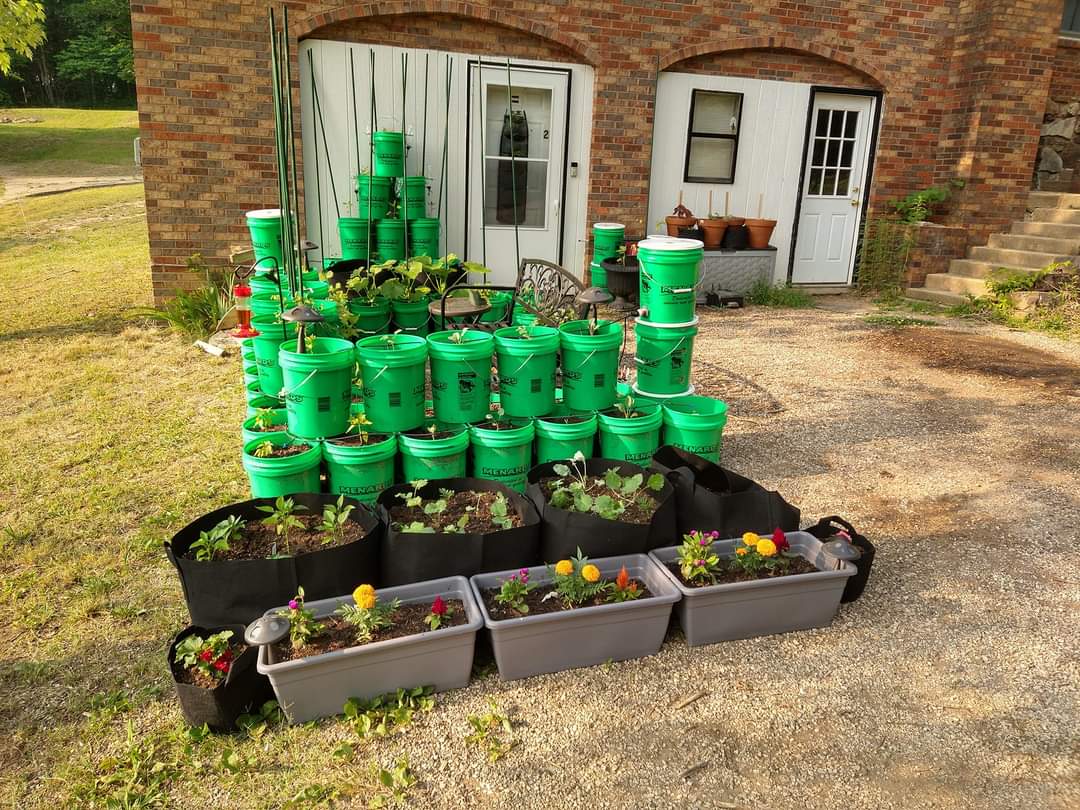 The Garden That Helped Me Start Over