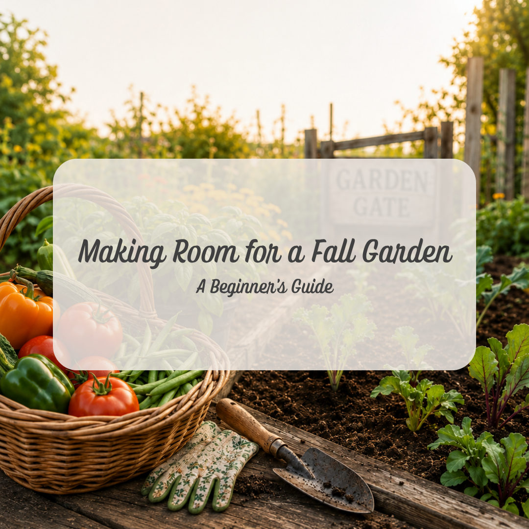 Make Room for a Fall Garden: Don't Let Those Empty Summer Beds Go to Waste