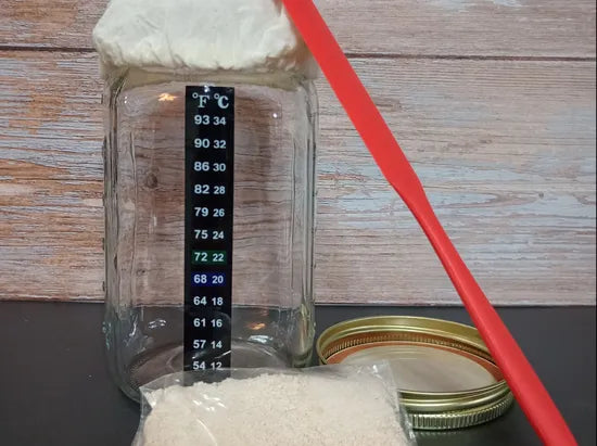 Sourdough Starter Kit Pack View